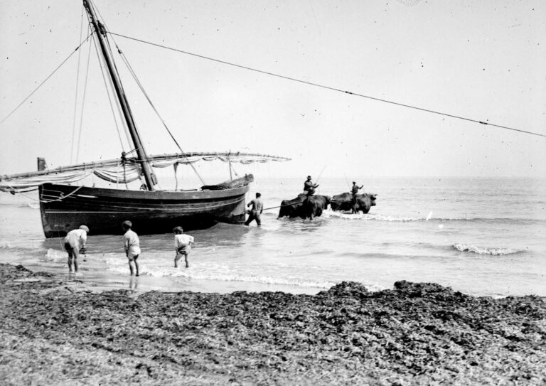 Viure al Port 08