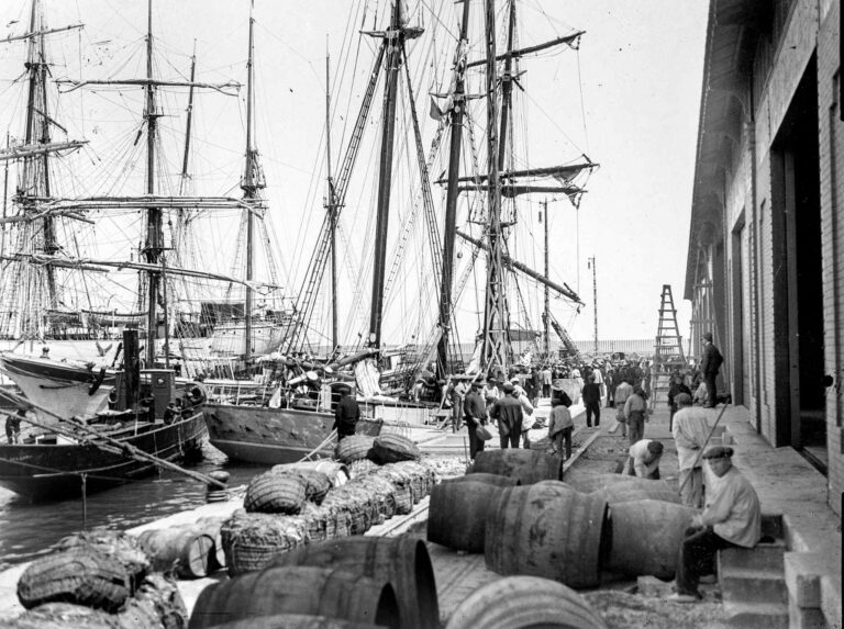 Viure al Port 12